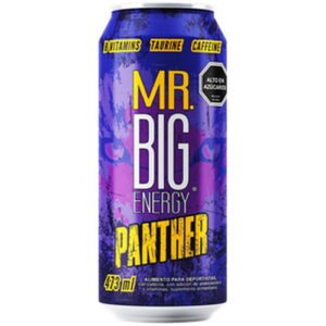 ENERGETICA LATA PANTHER MR. BIG 24X500CC